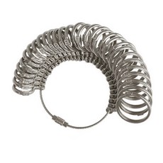 반지호수게이지