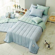 워싱인견이불해지스퀸