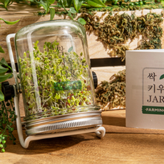 어린이학습용콩나물키우기