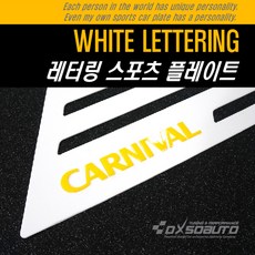 카니발리어모니터용인