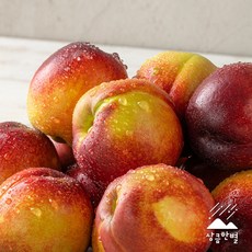 [상큼한별] 제철 복숭아 옵션선택 백도 황도 천도 대극천 털복숭아
