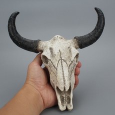 머리뼈