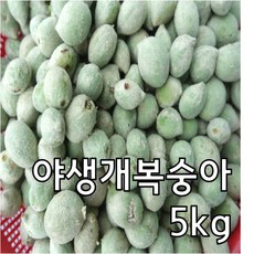 강원도 홍천 100%자연산 야생 개복숭아 무료발송, 1box, 10kg