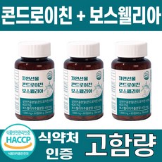 콘드로이친 TOP01
