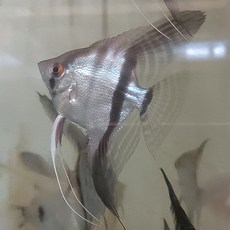e84eb45fb1e9e12747124e1e286eefb1a73c9966209d2f9abc4c2bdd9f44.jpg