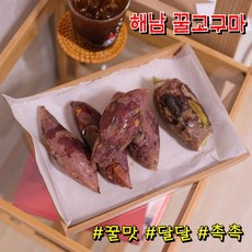 베로니카고구마