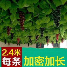 614ac1e5750cabe902d3910afc61d0b213cd305bbc0fc7dd743637d9b502.jpg