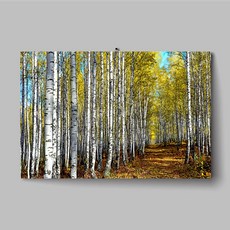 롤스크린나무숲그림