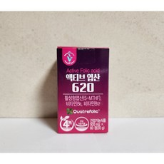 비타민하우스 액티브 엽산620 500mg x 60정, 1개