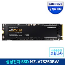 삼성전자 M.2 SSD 970 EVO PLUS NVMe, MZ-V7S250BW, 250GB