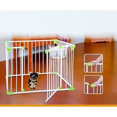 일산대형견애견호텔