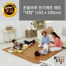 홀리데이전기매트