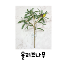 크레스티드게코포스터