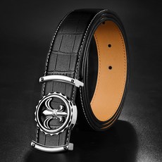 와일드브릭스벨트