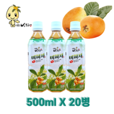 완도 비파차 비파잎 차 음료 500ml, 60개