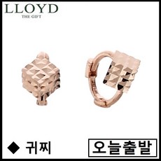 로이드트라거스