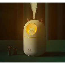 휴대용충전식미니가습기프롬비흰둥이가습기300ml