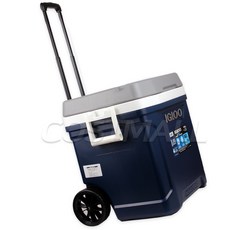 이글루 롤링쿨러 아이스박스 58L 맥스콜드 코스트코, 혼합 색상