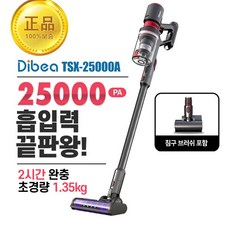 차이슨 2020년형 무선청소기 디베아 TSX-25000A