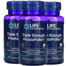 스트렝스라이프