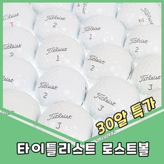 타이틀리스트 PRO V1 화이트 비재생 로스트볼 A- 30알