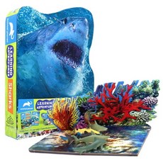Learning Adventures : Shark 페이퍼북, Learning Adventures : Shark .., Acampora, Courtney(저), Silver Dolphin Books