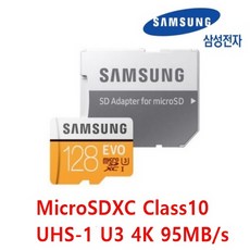 삼성전자 아이나비 퀀텀2X 호환 메모리카드128GB EVO, 128GB