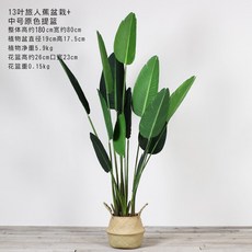 //상품명