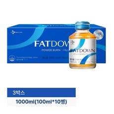 CJ웰케어 팻다운 파워번 마스터 가르시니아 100ml X 10병