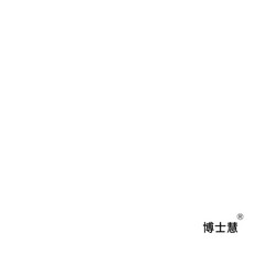 고무줄동력비행기