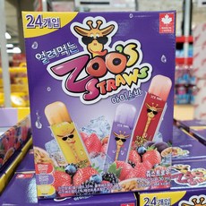쥬스트로우 아이스바 24개입 얼려먹는 간식 ZOO'S STRAWS ICE BAR