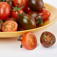 흑대추방울토마토
