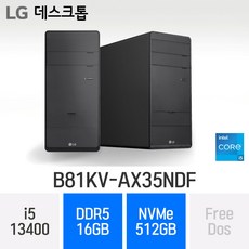 **오늘 출발** LG 데스크탑 B81KV-AX35NDF, 16GB, 512GB, Free Dos