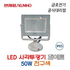 번개표50w투광기