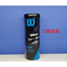 테니스라켓 테니스 Australian Open용공 철제캔 초보자 훈련 경기 AO테니스, T05-새로운 호주 오픈 블랙 캔 1통조림