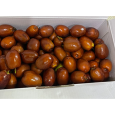 산지직송 보은 생대추 사과대추 1kg 고당도 건조 대추 건 말린대추 중과 대과 선물용 싱싱한 건대추 큼직한 생대추 달콤 아삭, 1통, 생 보은대추1kg대(26mm)