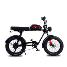 전동자전거 용 전기 자전거 팻 타이어 탈착식 배터리 포함 S3RX eBike 20 인치 48V 750W 1500W, [03] 48V 1500W 18AH, [03] Black, 03 48V 1500W 18AH