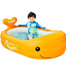 아발론투명고래