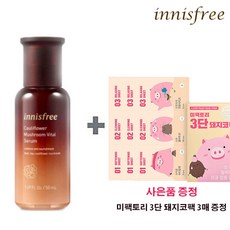 이니스프리삼단코팩