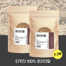 카무스