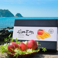 참조은 The제주 제철명품 애플망고 2kg 3kg, 1box, 애플망고 2kg 7-8과