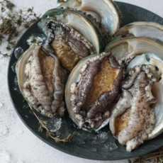 산지직송 완도 활전복, 1개, 18-20미