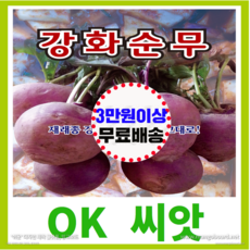 [OK씨앗] [강화순무] 순무씨앗(오케이씨앗), 500g