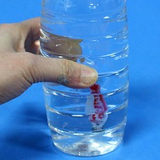 부력실험