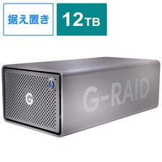 샌디스크프로페셔널