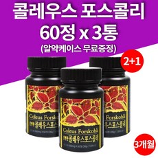 팍시다이어트내돈내산