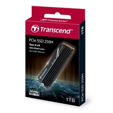 트랜센드 MTE250H M.2 2280 NVMe 1TB TLC 히트싱크 파인인포