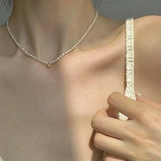 진주해수진주핵진주