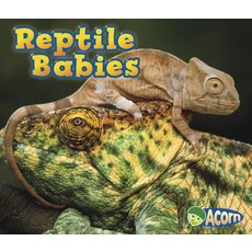 Reptile Babies Library Binding, Heinemann Educational Books