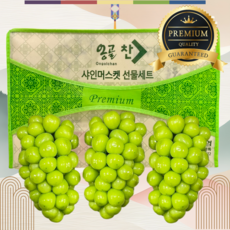 [품질선별] 특상품 고당도 샤인머스켓 선물세트, 1개, 2kg (2-3수)